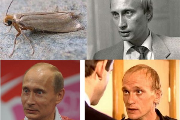 Кракен мп