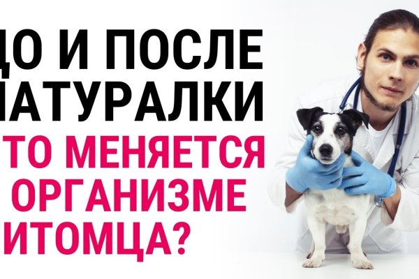 Кракен русский